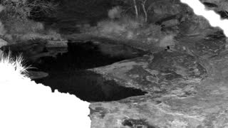 Still 1 from this detection