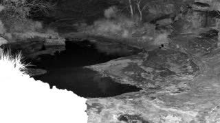 Still 1 from this detection