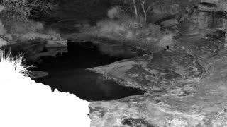 Still 1 from this detection