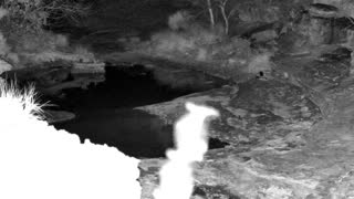Still 1 from this detection
