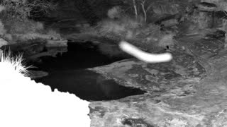 Still 1 from this detection