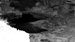 Still 1 from this detection