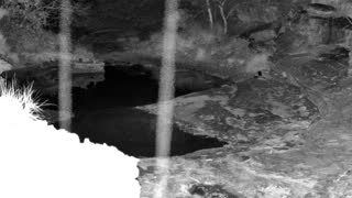 Still 1 from this detection