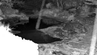 Still 1 from this detection