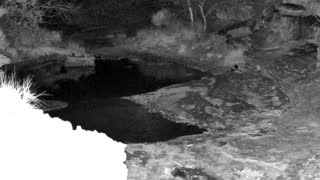 Still 1 from this detection