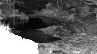 Still 1 from this detection