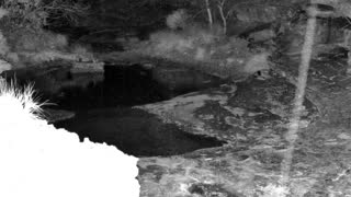 Still 1 from this detection