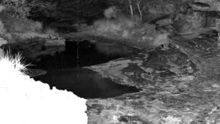 Still 1 from this detection