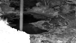 Still 1 from this detection