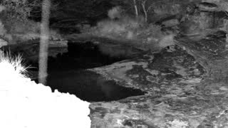 Still 1 from this detection