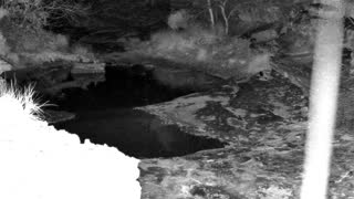 Still 1 from this detection