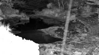Still 1 from this detection