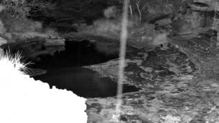 Still 1 from this detection