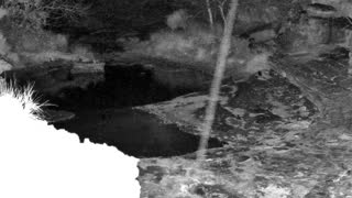 Still 1 from this detection