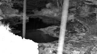 Still 1 from this detection