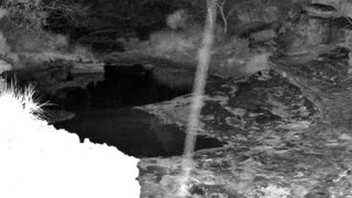 Still 1 from this detection
