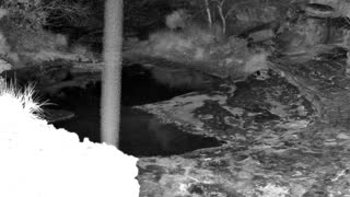 Still 1 from this detection