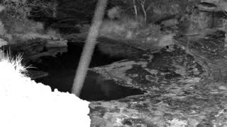 Still 1 from this detection