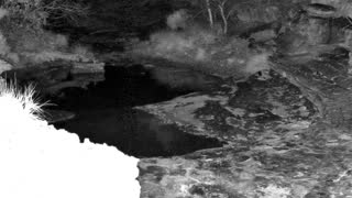 Still 1 from this detection