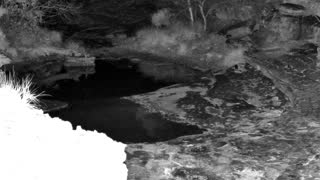 Still 1 from this detection