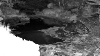 Still 1 from this detection