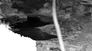 Still 1 from this detection