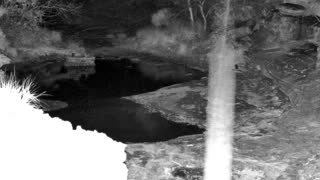 Still 1 from this detection