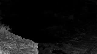 Still 1 from this detection
