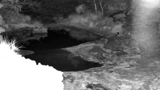 Still 1 from this detection