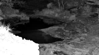 Still 1 from this detection