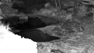 Still 1 from this detection
