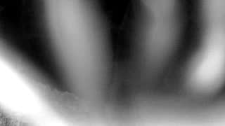 Still 1 from this detection