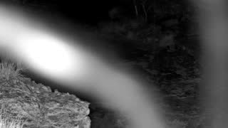 Still 1 from this detection