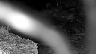 Still 1 from this detection