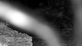 Still 1 from this detection