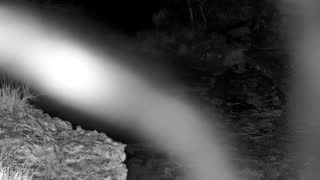Still 1 from this detection
