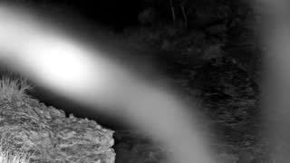 Still 1 from this detection