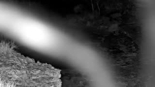 Still 1 from this detection