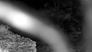 Still 1 from this detection
