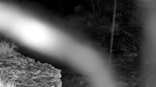 Still 1 from this detection