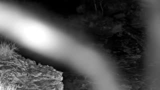 Still 1 from this detection