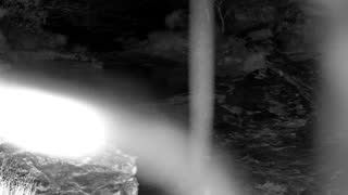 Still 1 from this detection