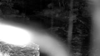 Still 1 from this detection