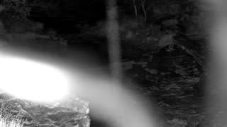 Still 1 from this detection