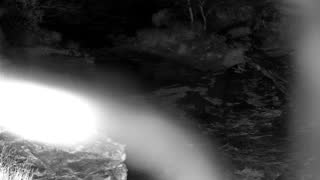 Still 1 from this detection
