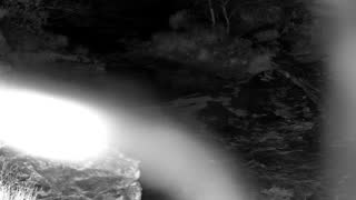 Still 1 from this detection