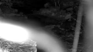 Still 1 from this detection