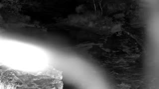 Still 1 from this detection