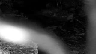 Still 1 from this detection