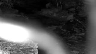 Still 1 from this detection